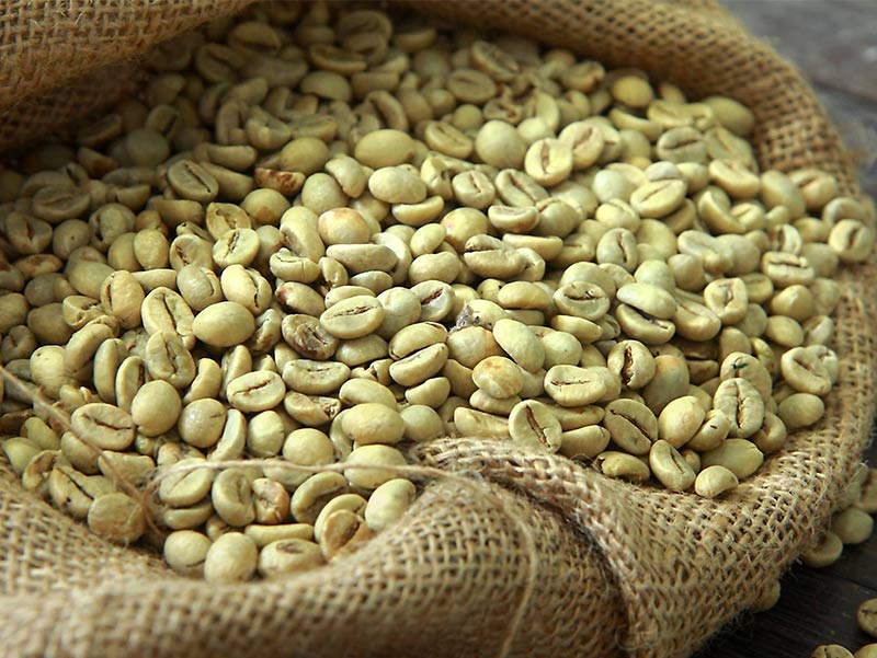 India Arabica