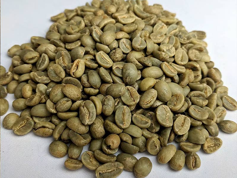 Vietnam Robusta